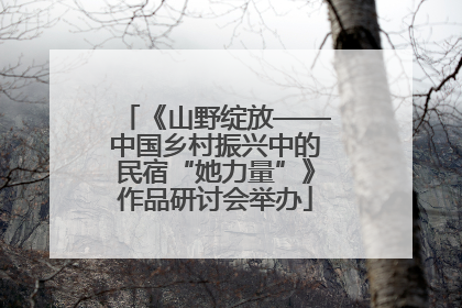 《山野绽放——中国乡村振兴中的民宿“她力量”》作品研讨会举办