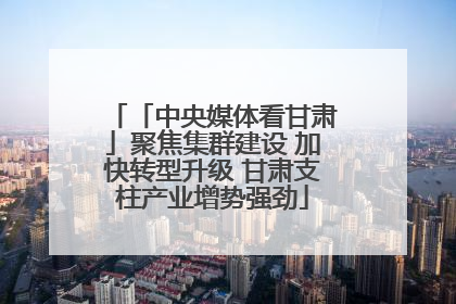 「中央媒体看甘肃」聚焦集群建设 加快转型升级 甘肃支柱产业增势强劲