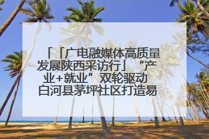 「广电融媒体高质量发展陕西采访行」“产业+就业”双轮驱动 白河县茅坪社区打造易地搬迁后扶新样本