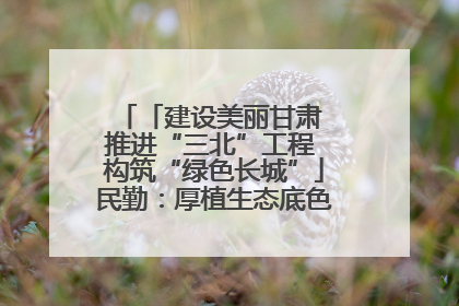 「建设美丽甘肃 推进“三北”工程 构筑“绿色长城”」民勤：厚植生态底色 筑牢绿色屏障