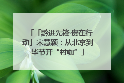 「黔进先锋·贵在行动」宋慧颖：从北京到毕节开“村咖”