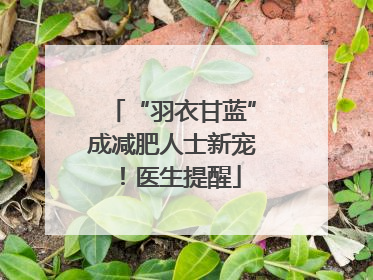 “羽衣甘蓝”成减肥人士新宠！医生提醒