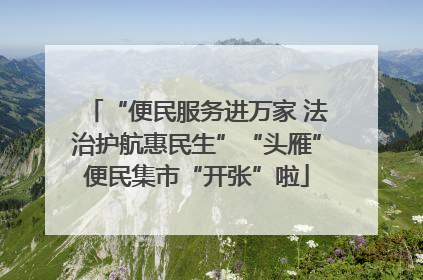 “便民服务进万家 法治护航惠民生”“头雁”便民集市“开张”啦