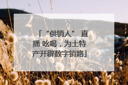 “供销人” 直播 吆喝，为土特产开辟数字销路