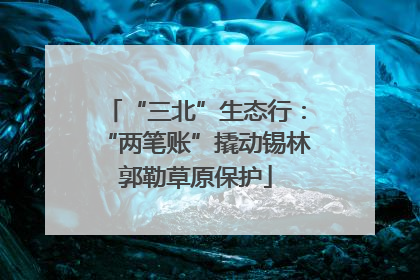 “三北”生态行：“两笔账”撬动锡林郭勒草原保护