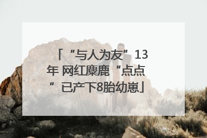 “与人为友”13年 网红麋鹿“点点”已产下8胎幼崽