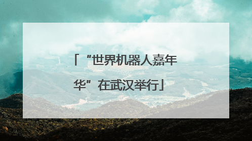 “世界机器人嘉年华”在武汉举行