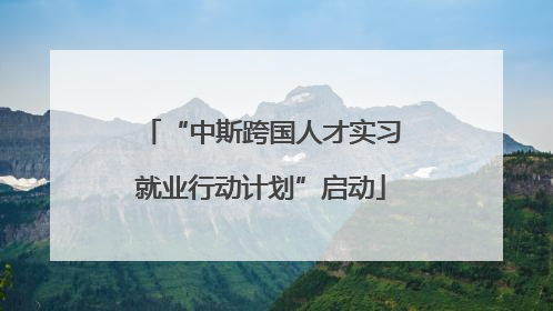 “中斯跨国人才实习就业行动计划”启动