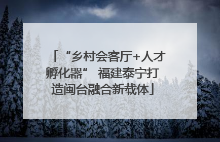“乡村会客厅+人才孵化器” 福建泰宁打造闽台融合新载体