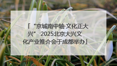 “京城南中轴·文化正大兴” 2025北京大兴文化产业推介会于成都举办