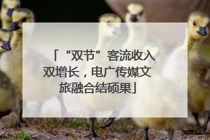 “双节”客流收入双增长，电广传媒文旅融合结硕果