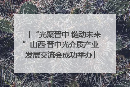 “光聚晋中 链动未来”山西·晋中光介质产业发展交流会成功举办