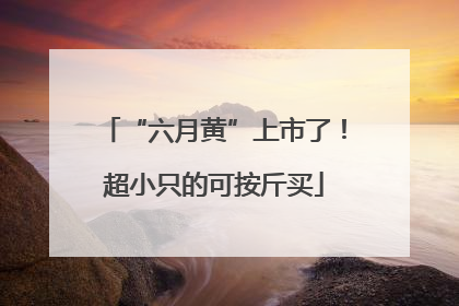 “六月黄”上市了！超小只的可按斤买