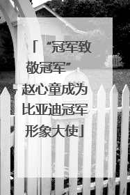 “冠军致敬冠军” 赵心童成为比亚迪冠军形象大使