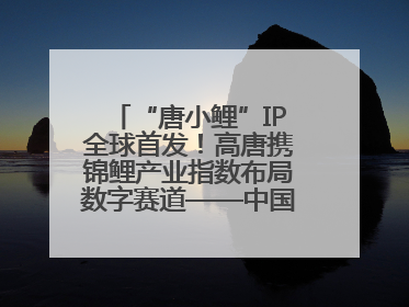 “唐小鲤”IP全球首发！高唐携锦鲤产业指数布局数字赛道——中国高唐锦鲤产业指数暨“唐小鲤”IP全球首发仪式在杭州举行
