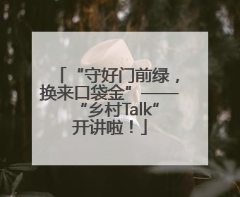 “守好门前绿，换来口袋金”——“乡村Talk”开讲啦！