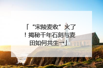 “宋陵麦收”火了！揭秘千年石刻与麦田如何共生→