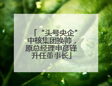 “头号央企”中核集团换帅，原总经理申彦锋升任董事长