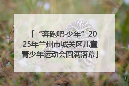 “奔跑吧·少年”2025年兰州市城关区儿童青少年运动会圆满落幕