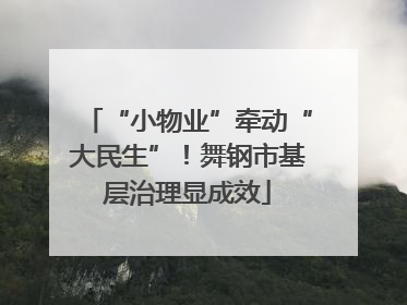 “小物业”牵动“大民生”！舞钢市基层治理显成效