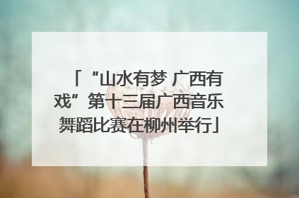 “山水有梦 广西有戏”第十三届广西音乐舞蹈比赛在柳州举行