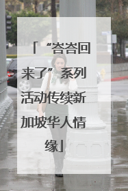 “峇峇回来了”系列活动传续新加坡华人情缘