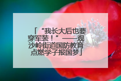 “我长大后也要穿军装！”——观沙岭街道国防教育点燃学子报国梦