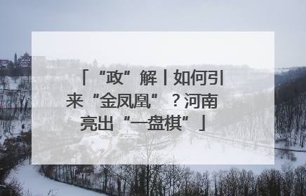 “政”解丨如何引来“金凤凰”？河南亮出“一盘棋”