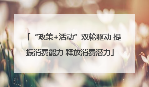 “政策+活动”双轮驱动 提振消费能力 释放消费潜力