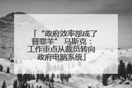 “政府效率部成了替罪羊” 马斯克：工作重点从裁员转向政府电脑系统