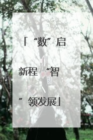 “数”启新程 “智”领发展