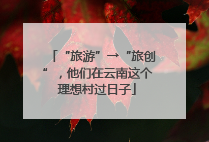 “旅游”→“旅创”，他们在云南这个理想村过日子