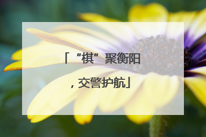 “棋”聚衡阳，交警护航