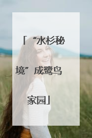 “水杉秘境”成鹭鸟家园
