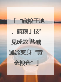 “藏粮于地、藏粮于技”见成效 盐碱滩涂变身“黄金粮仓”