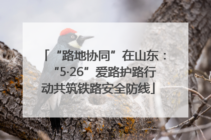 “路地协同”在山东：“5·26”爱路护路行动共筑铁路安全防线