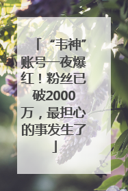 “韦神”账号一夜爆红！粉丝已破2000万，最担心的事发生了