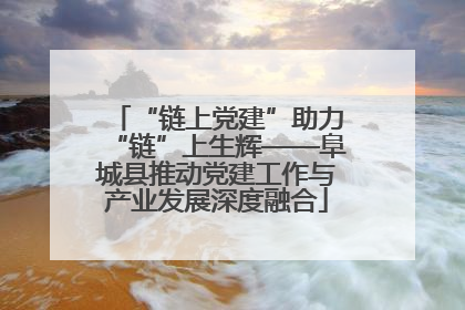 “链上党建”助力“链”上生辉——阜城县推动党建工作与产业发展深度融合