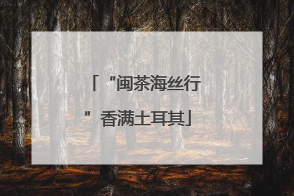 “闽茶海丝行”香满土耳其