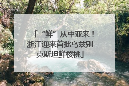 “鲜”从中亚来！浙江迎来首批乌兹别克斯坦鲜樱桃