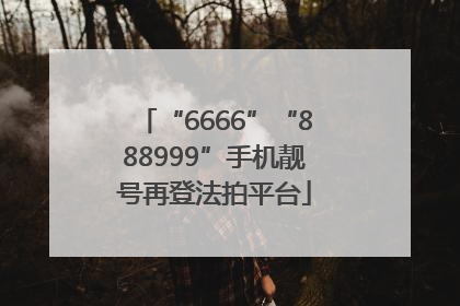 “6666”“888999”手机靓号再登法拍平台