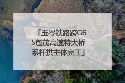 玉岑铁路跨G65包茂高速特大桥系杆拱主体完工