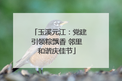 玉溪元江：党建引领粽飘香 邻里和谐庆佳节