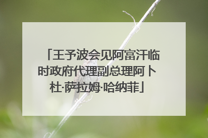 王予波会见阿富汗临时政府代理副总理阿卜杜·萨拉姆·哈纳菲