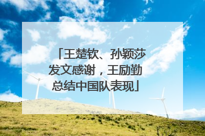 王楚钦、孙颖莎发文感谢，王励勤总结中国队表现
