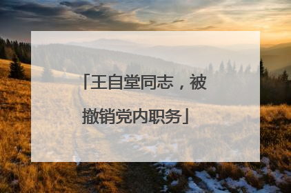 王自堂同志，被撤销党内职务