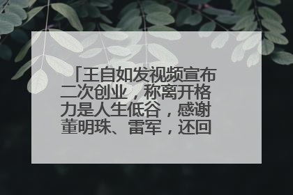 王自如发视频宣布二次创业，称离开格力是人生低谷，感谢董明珠、雷军，还回应了“工资条”：清楚自己要什么……