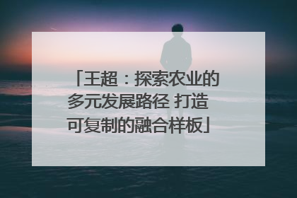 王超：探索农业的多元发展路径 打造可复制的融合样板