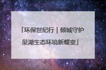 环保世纪行｜倾城守护 巢湖生态环境新蝶变