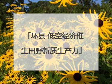环县 低空经济催生田野新质生产力